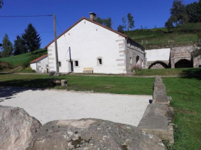 Ancienne ferme rénovée au cœur des Vosges avec terrasse couverte - FR-1-583-114